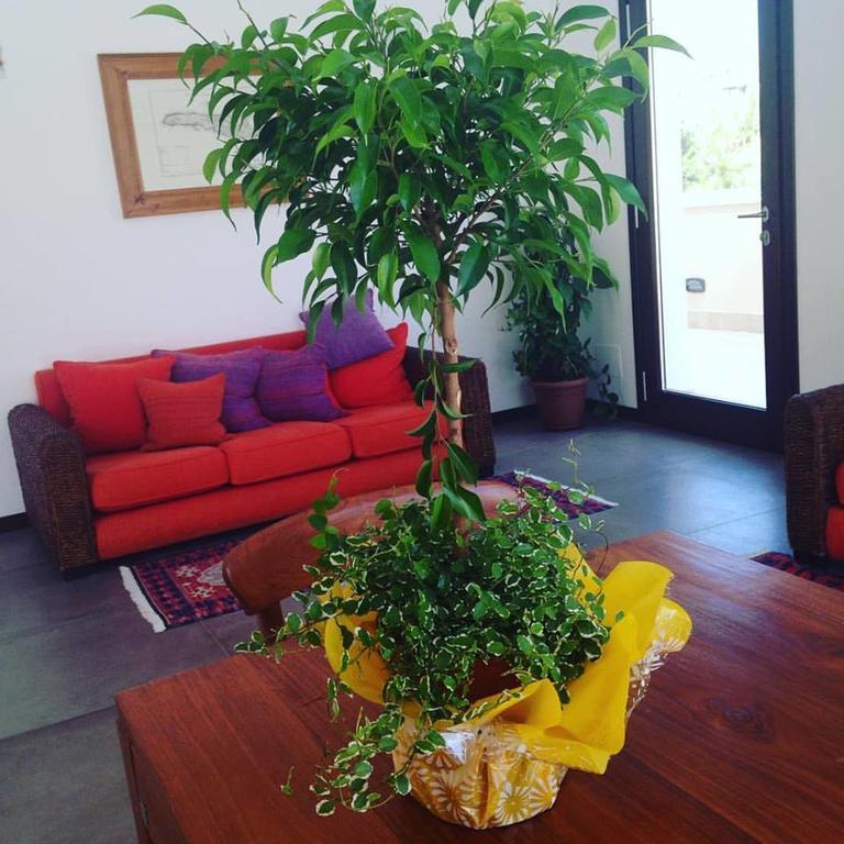 Moresco Resort LMP Extérieur photo